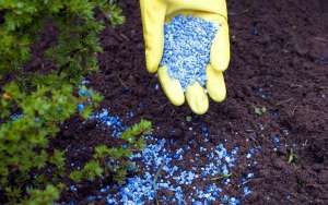 �����������, ����������� ���������. ������. �������� �� ������� - ����������� 1