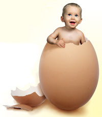 ����������� �����������, ��������� ������� - ����������� 1