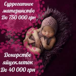 ����������� �����������. ��������� ����������. ����� ������� ����������� - ����������� 1