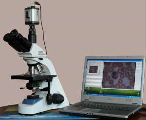 ����������� ����������� ��������� - ���������������� - ����������� 1