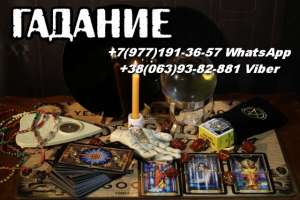 �����������. ������������. - ����������� 1