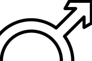 ������������ � ������� ��������. - ����������� 1