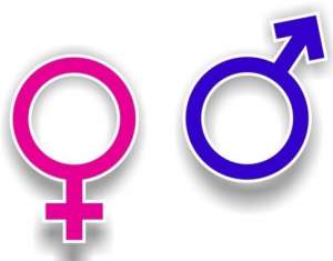 ������������ � ��������. - ����������� 1