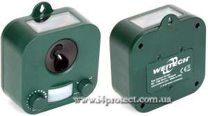 ������������ � ��������� �������, ������� ������������ ����� ������ - ����������� 1