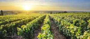 ������������ �� ��� ������� - ����������� 1