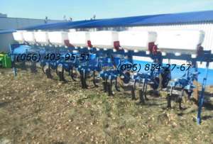 ������������ ���� � ������������ � ������� �������� ����� - ����������� 1