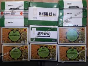 ������������ ���� �� ������������ ����-8 ����-12 - ����������� 1