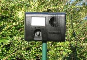 ������������ ����� � ����� Garden Protector 0051 ������ ����� ������ ���� - ����������� 1