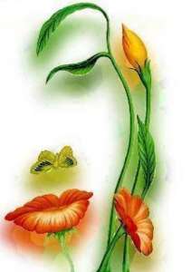 ������������, ����� ����� � ����� ������ - ����������� 1