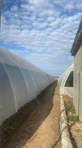 ������������ ����� �������� ����� ������ - ����������� 1