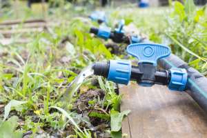 ������������ �����, ���������� �����, ����������� ������ - ����������� 1