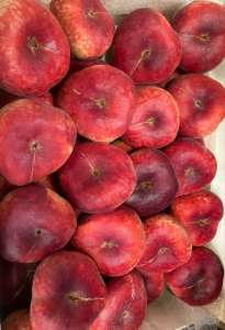 ������������ ������ - ����������� 1