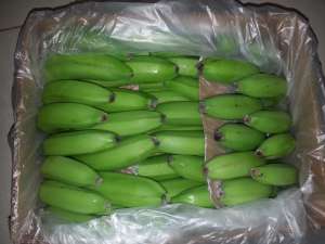 ������������ ������, ����� ����� ������ - ����������� 1