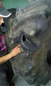 ������������ ������ �������������������� ��� � ��������� - ����������� 1