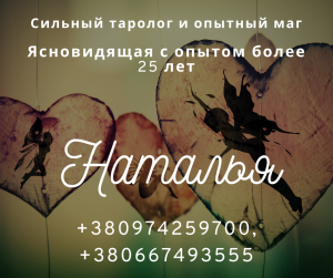 ������������ ��������. ������ �������� ����. �������� �� ����. - ����������� 1