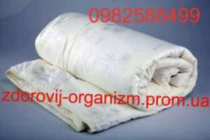 ������������ ��������� ������ c ������� � ���������� �������� 1600 ��� - ����������� 1