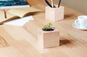 ������������ ���������. ���������, ������ ����� - ����������� 1