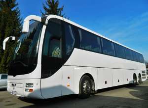 ������������ ��������� ���������� ����-��������-����. ����- ��������� �����. ����- ������ �����. - ����������� 1