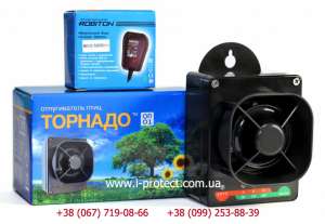 ������������ ���������� ������ ���� �� ������� ���������� - ����������� 1