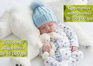 ������������ �����������. ����������� �����������. ��������� ���������� - ����������� 1