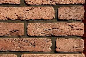 ������������ ������������ ������ ������ ����� - ����������� 1