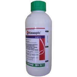 ������������� � ������� ��������, �����, �����, �������, ������ ����, ��������, �����. - ����������� 1