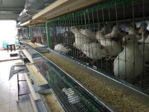 ������������� ����. ������� � ����������� - ����������� 1