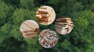 ������������� ����� � ������� � ������: �����, �����, ����, ����� - ����������� 1