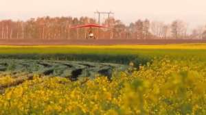 ������������� ����� ������������ - ����������� 1