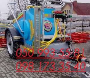 ������������� ������ 2000, ��������� ������������� �����������. - ����������� 1