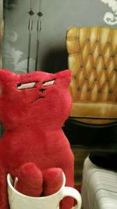 ������������� ������ ������� Cotini - ����������� 1