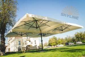 ������������� ������� ����� Scolaro - ����������� 1