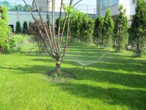 ������������� ������� ������, ������� ������ - ����������� 1