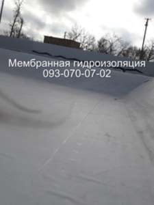 ������������� ����������� ��������� - ����������� 1