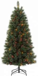 ������������� ������������� ����� Donner Blitzen � 60 � 1.8 � - ����������� 1