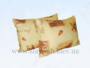 �������������� �������. �������� �������. - ����������� 1