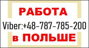 ��������������� � ������. ���������: ������ ��� ��������, ���������, ����������. ������ ��� ��������� - ����������� 1