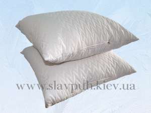 ��������������� ������� �� ������������ - ����������� 1