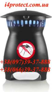 �������-������������ ������� � �����, ������ � �������� �� ������� ���������� - ����������� 1