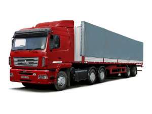 ��������-������������ (�� �������, ����, MAN) - ����������� 1