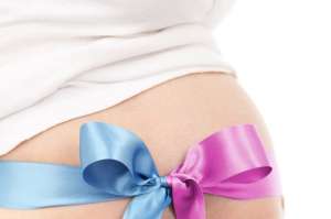 ��������������������� �����������, ������� ����������. ��������������� �������������� - ����������� 1